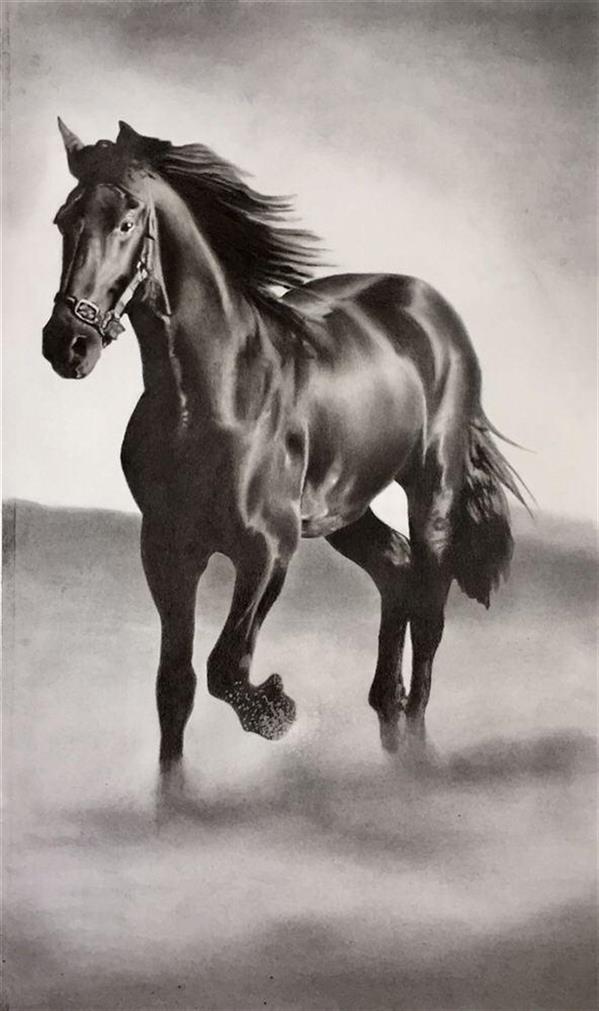 hassan alamouti drawing with pencil on shtenbach paper