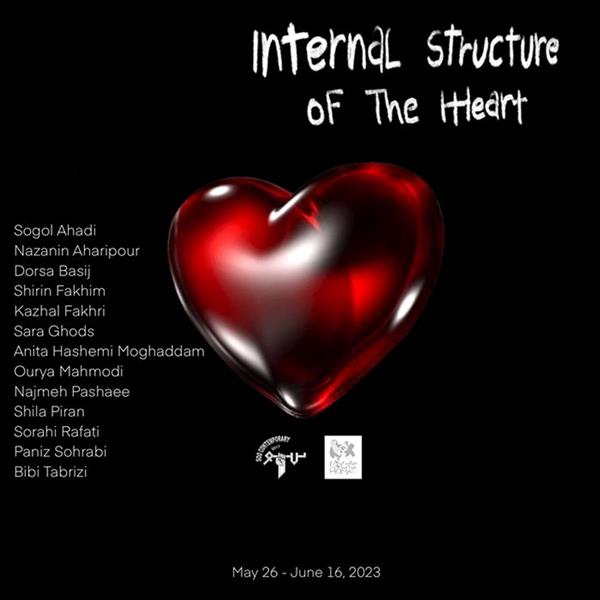 Internal Structure of the Heart