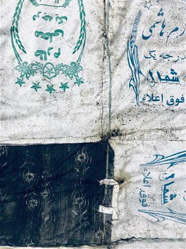 بگذارید نفت بخورند!