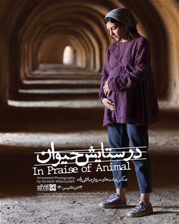 در ستایش حیوان