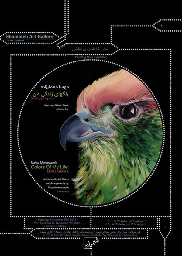 رنگ های زندگی من مجموعه پرندگان