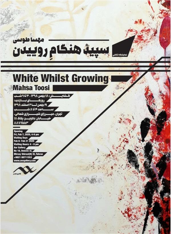 سپيد، هنگام روئيدن 