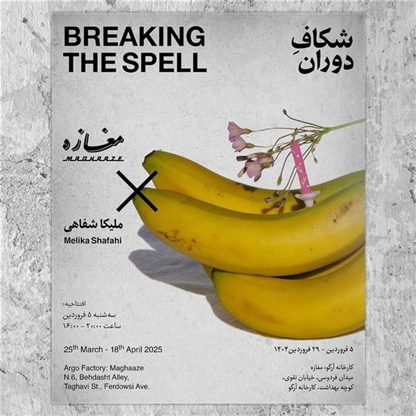 شکاف دوران