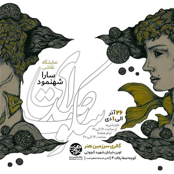 صداى سکوت