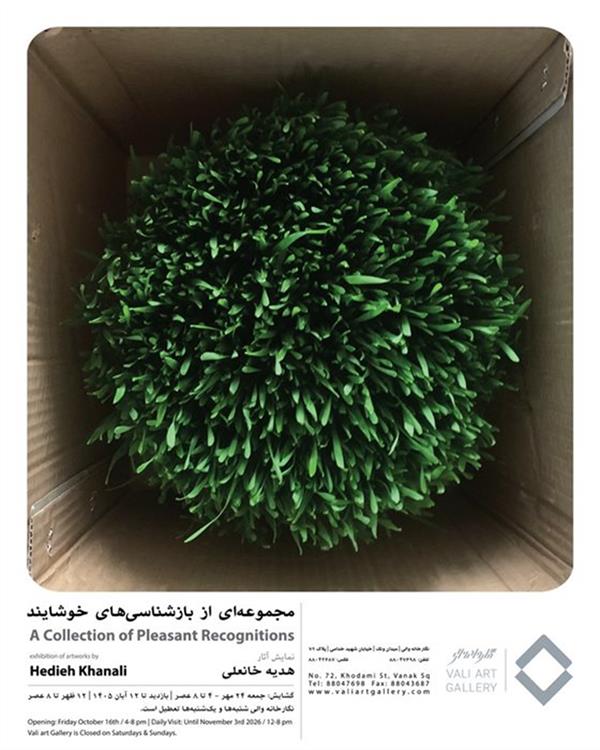 مجموعه ای از بازشناسی های خویشاوند