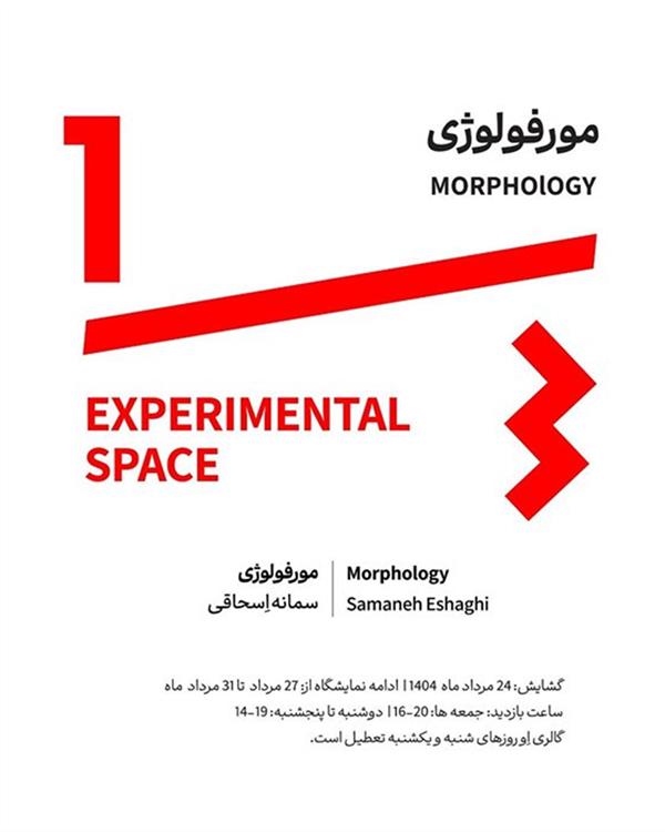 مورفولوژی