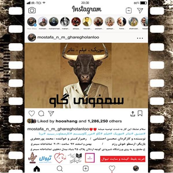 موزیک فیلم تئاتر سمفونی گاو