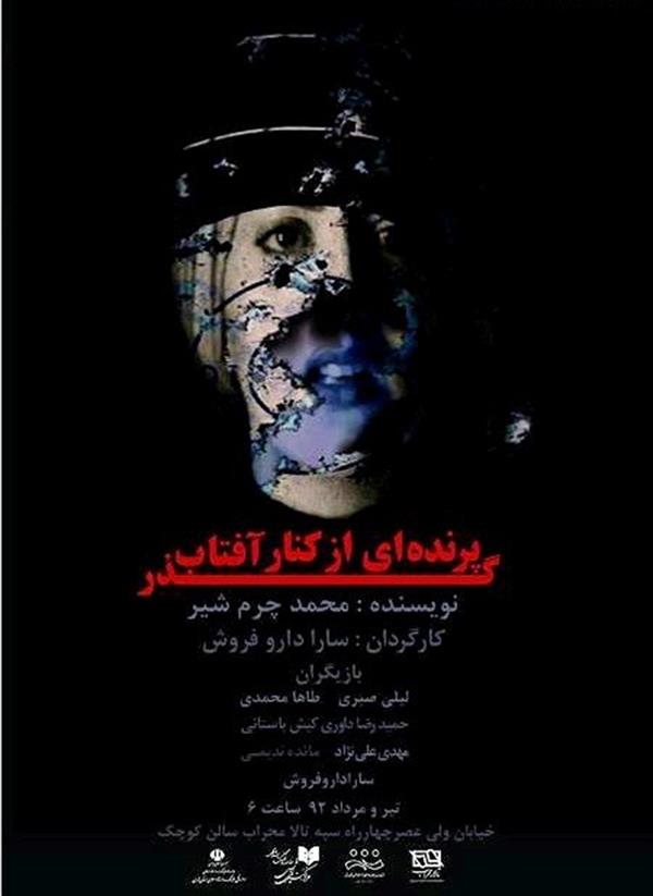 نمایش گذر پرنده ای از کنار آفتاب
