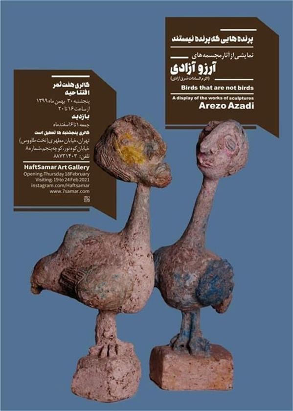 پرنده هایی که پرنده نیستند