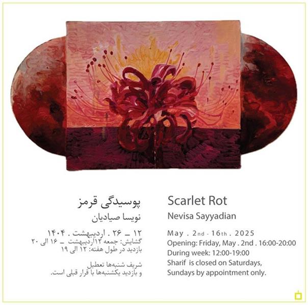 پوسیدگی قرمز