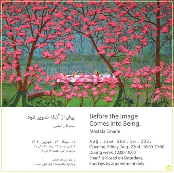 پیش از آن که تصویر شود